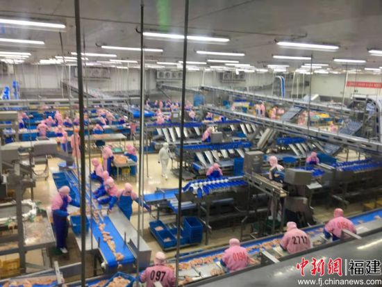 图为圣农工厂。