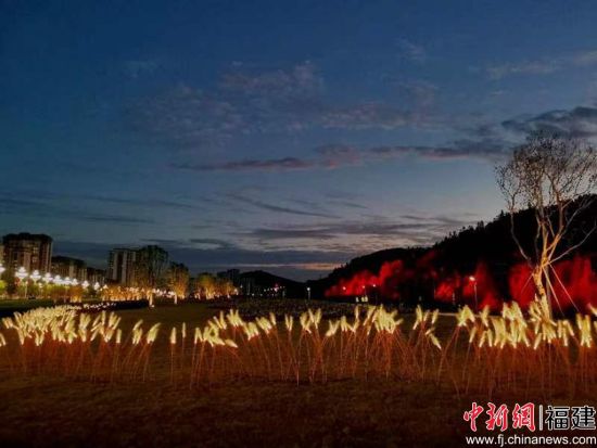 武夷新区千亩花海焕新颜。王升洪 摄 武夷新区千亩花海焕新颜。王升洪 摄